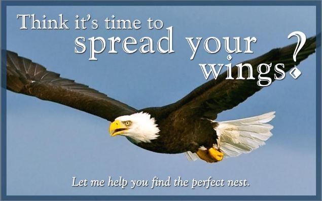 eagle - buyer - spread your wings
