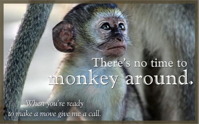 monkey - when you are ready to move give me a call