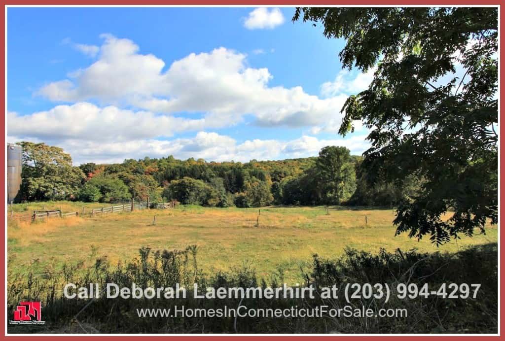The wide spaces and breathtaking surrounding in this luxury equestrian property for sale in Bridgewater CT certainly knows no boundaries!