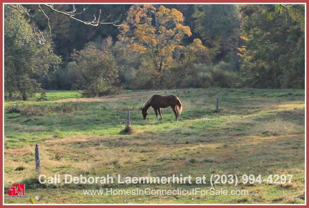 Build your dream luxury subdivision in this marvelous Litchfield Hills equestrian property for sale in Bridgewater CT, where one can appreciate rural life more in a developed community!