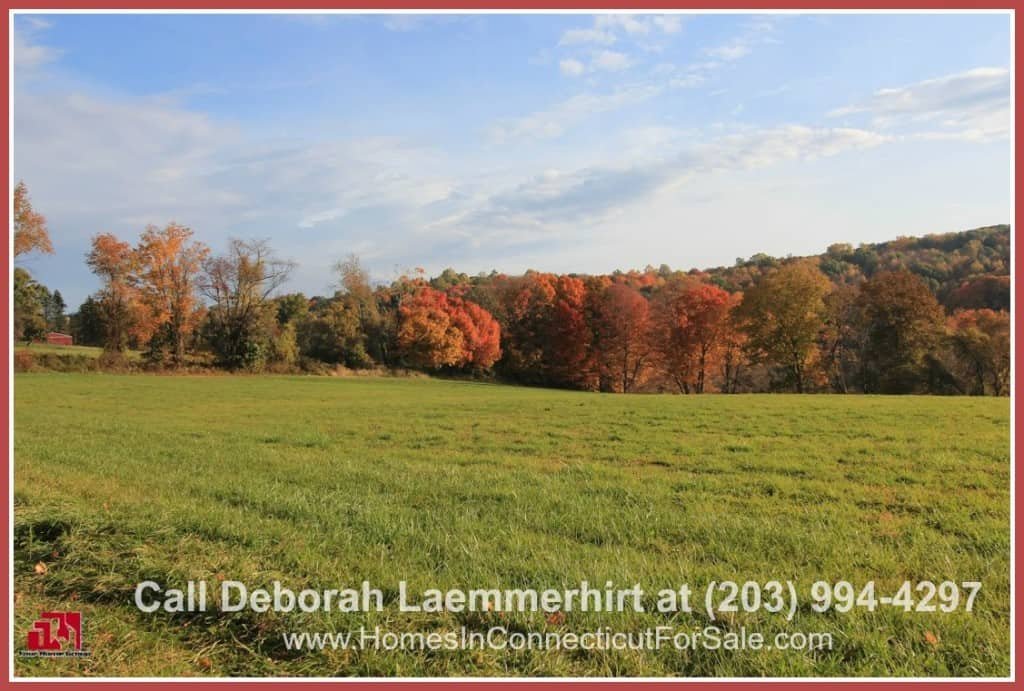 If you're looking for a relaxing, wide-spaced land where you can build your dream luxury home, or even a whole subdivision, then this Bridgewater CT horse property for sale is THE one!